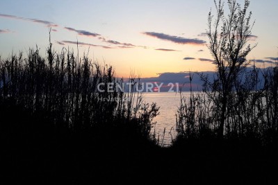 Prodaja, Zemljište, Poljoprivredna površina, Istarska županija, Umag