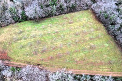 VIŠNJAN,PRODAJA GRAĐEVINSKOG I POLJOPRIVREDNOG ZEMLJIŠTA