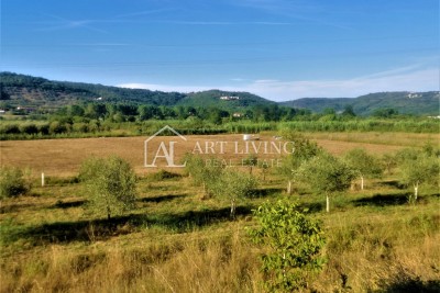 Buje-okolica, lijepo poljoprivredno zemljište 5100 m2