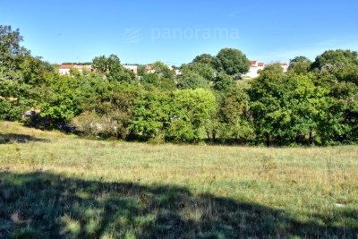 IZNIMNO GRAĐEVINSKO ZEMLJIŠTE U SREDIŠNJOJ ISTRI