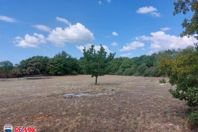 Cantiere Knapići, Sveti Lovreč, 6.852m2