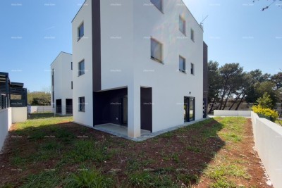 Prizemlje z velikim vrtom!