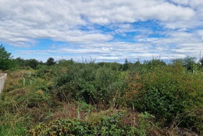 Građevinsko zemljište – Višnjan okolica,  616 m², Z-658