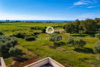 Hus Novigrad - under uppbyggnad