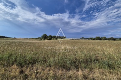 Istra, Kaštelir: Poljoprivredno zemljište s šumom 24118 m²