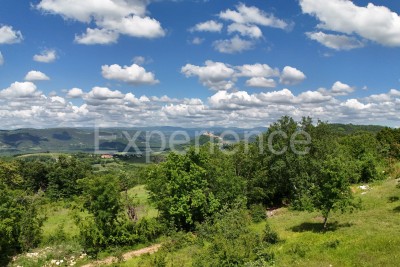 ISTRIA, Montona - terreno agricolo adiacente alla zona edificabile, VISTA SU MONTONA!