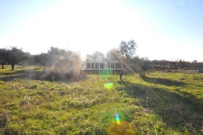 Prodaje se 20 000m2 šume