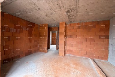 The translation of the title 