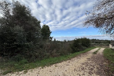 Premantura, gradbena parcela 1.600 m²