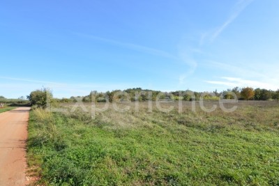 Bačva, poljoprivredno zemljište 7.000 m² – čista oranica