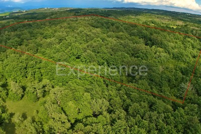 Kaštelir - foresta, superficie di 40.774 m²