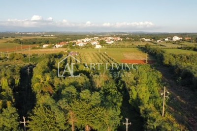 Umago - dintorni, attraente terreno edificabile per uso commerciale e industriale