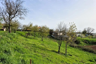 Terreno edificabile 1.730 m² – Barban