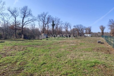 Terreni agricoli ordinati a Valtura