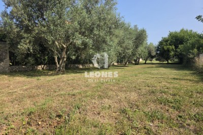 Lepa gradbena parcela s projektom enonadstropne hiše v bližini Umaga